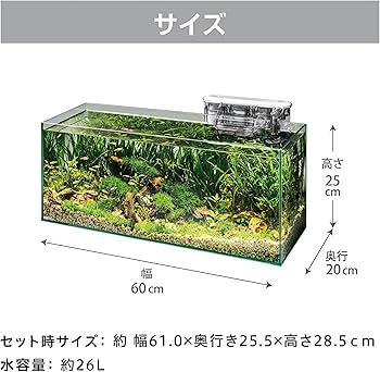 Amazon.co.jp: GEX ジェックス グラステリアスリム600 6点セット DC